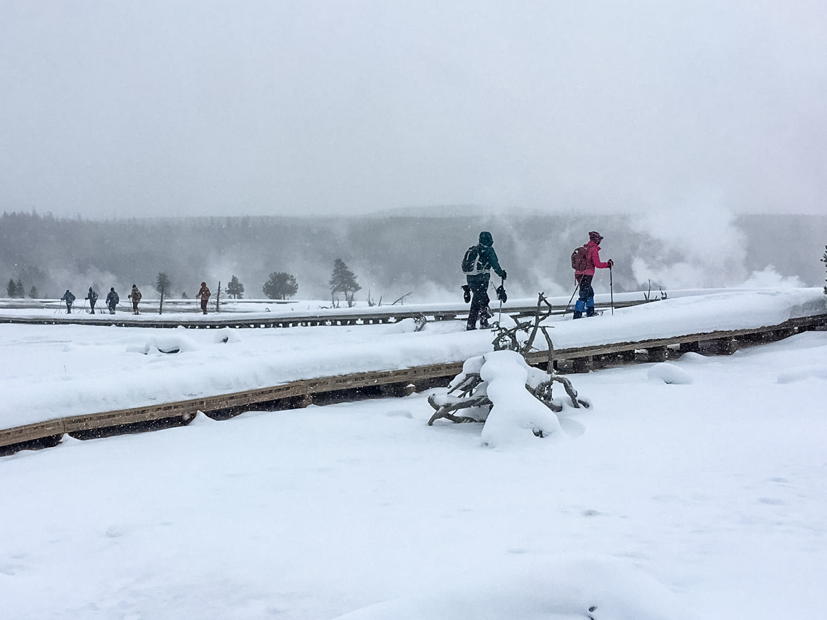 Yellowstone snow BiscuitBasin boardwalk snowshoe adventure tour Yellowstone National Park USA