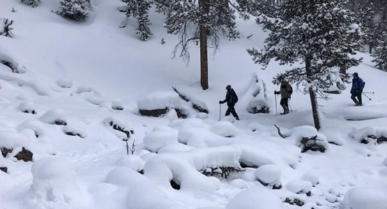 Yellowstone Snowshoe Adventure