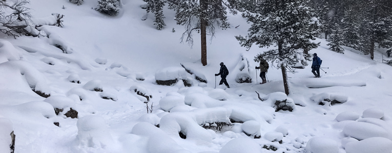 Yellowstone Snowshoe Adventure