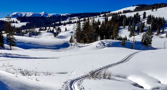 Yellowstone Snowshoe Adventure