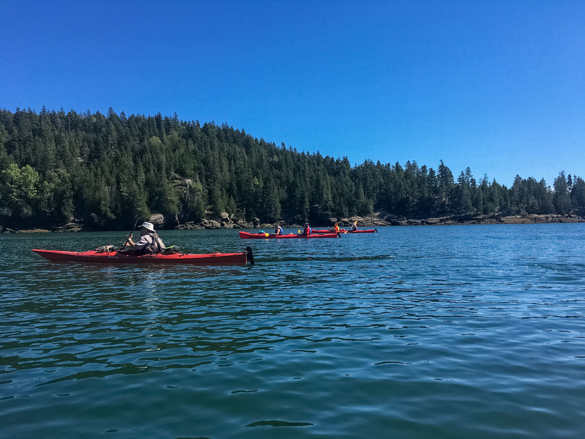 Kayaking in Acadia National Park Maine hiking multisport adventure tour