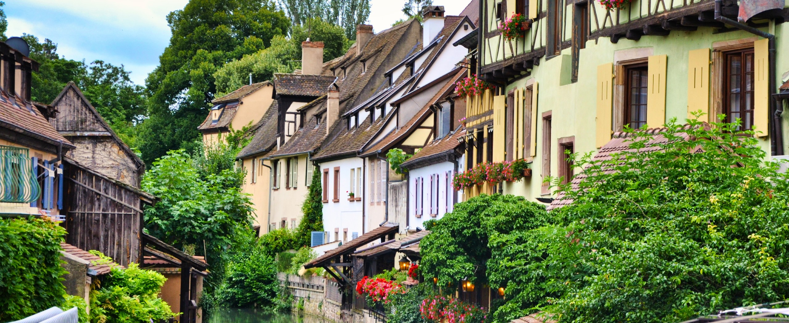 Alsace Wine Route by Bike