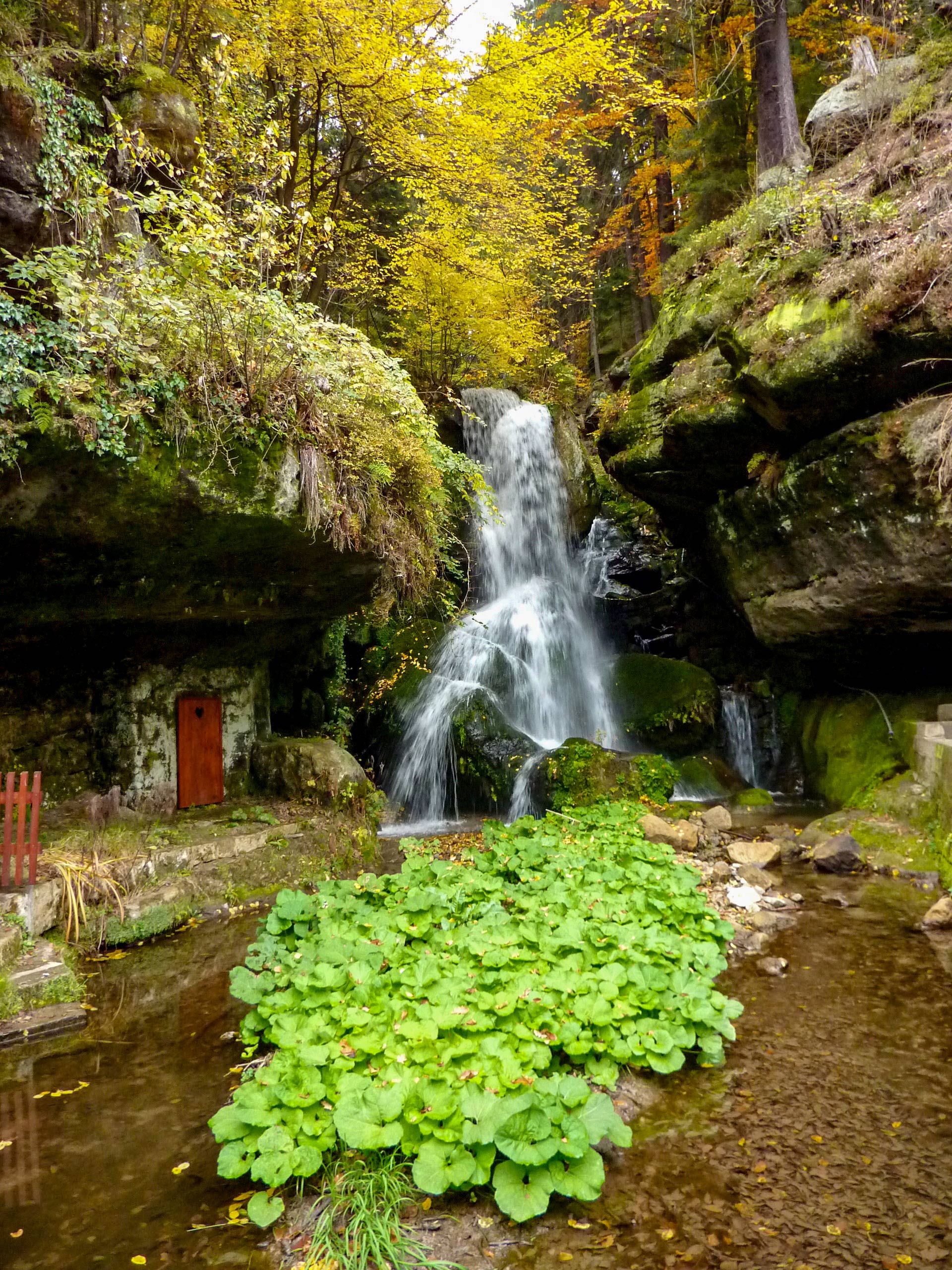 Elbe Sandstone Mountains Malerweg Lichtenhain Waterfall