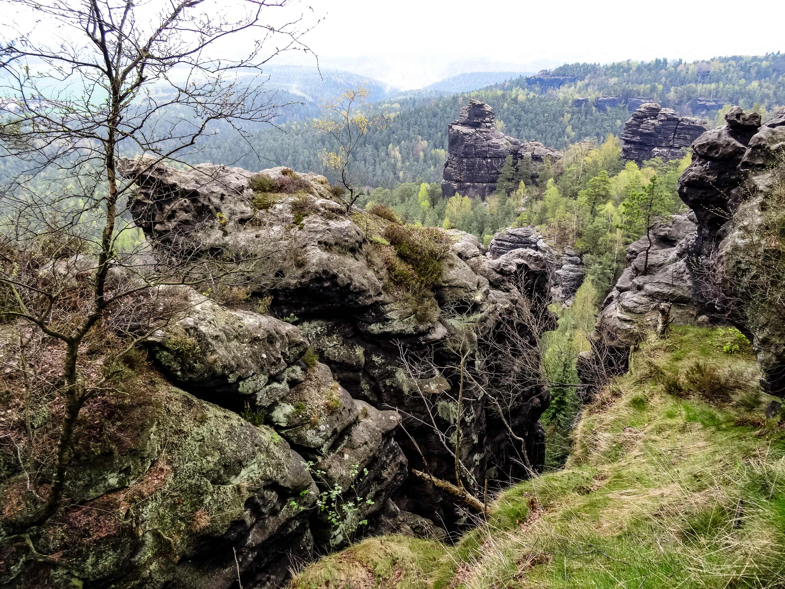 View from the Papststein, Malerweg AugustusTours, Anke Berndt