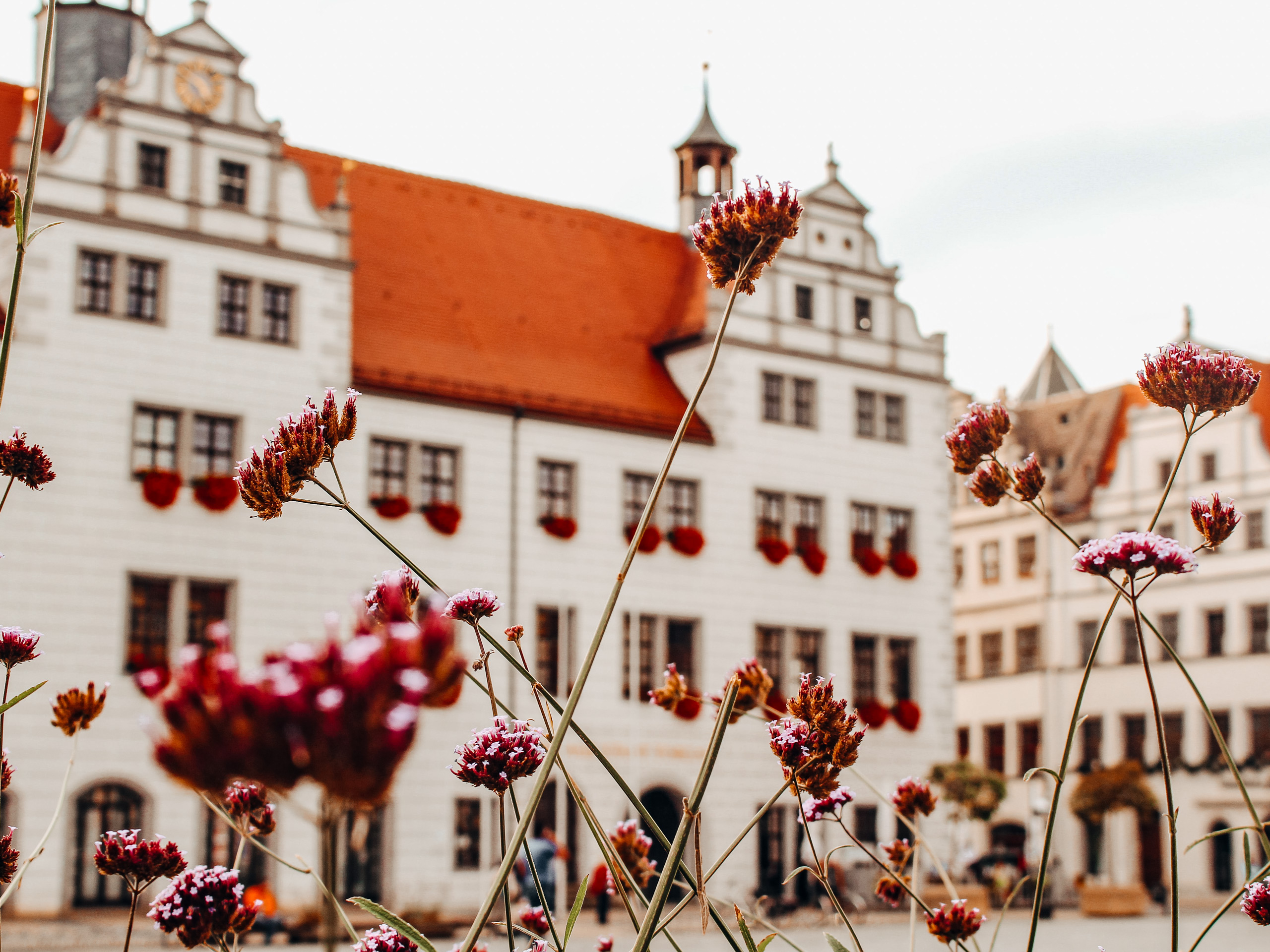 Renaissance town of Torgau
