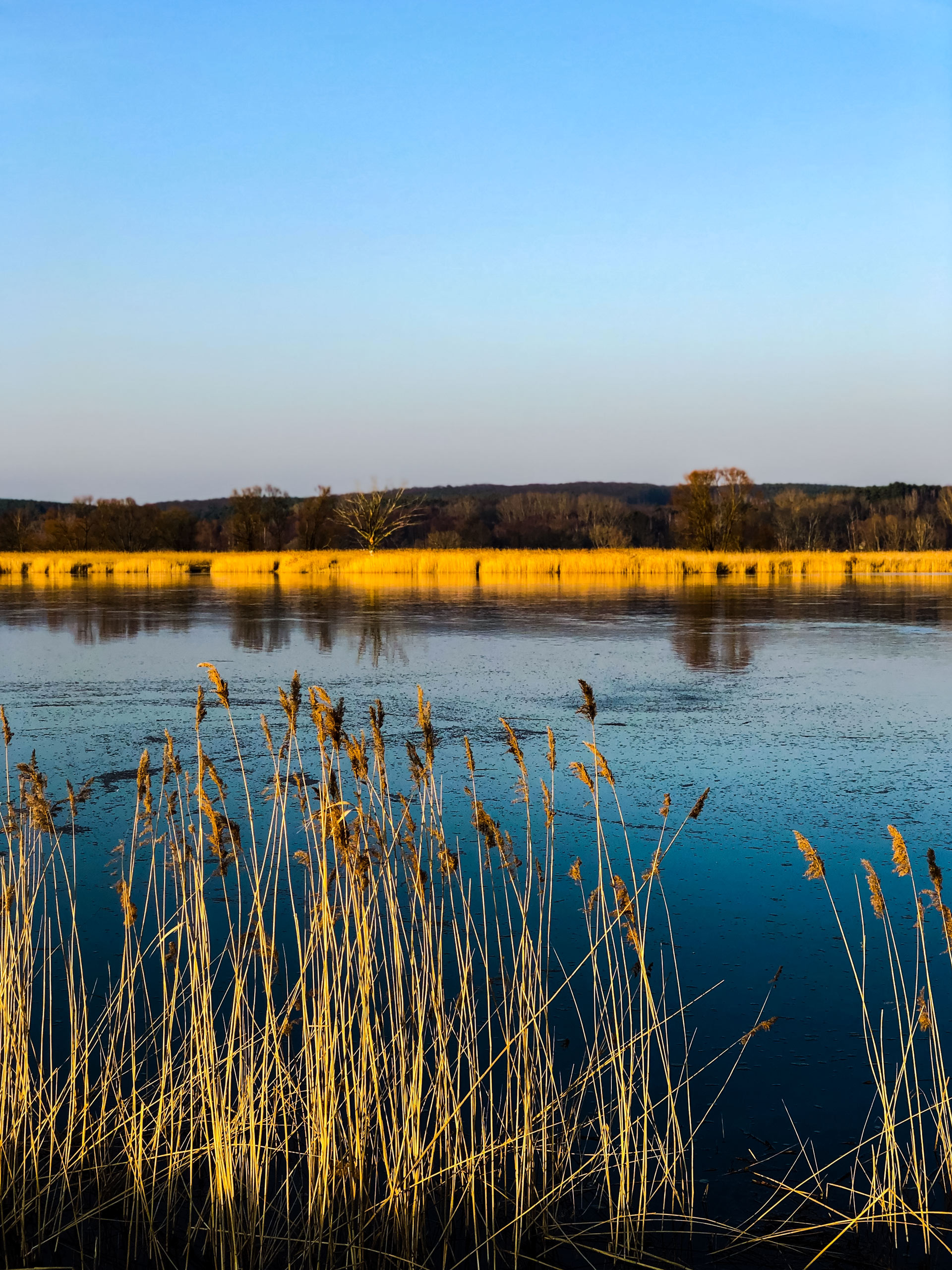 Oderbruch marshes Germany