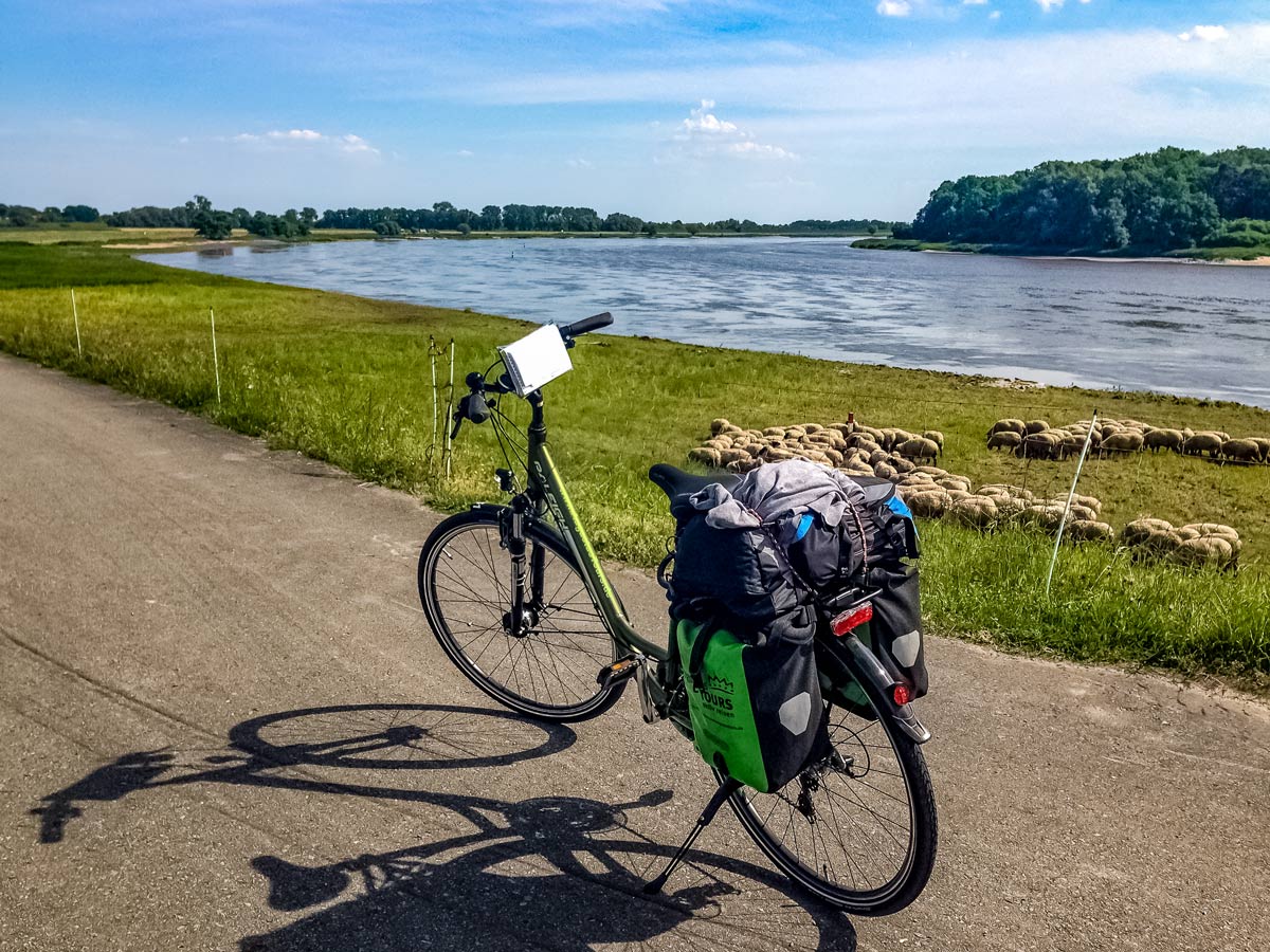 Berlin Bicycle on the Elbe river cylce path near city Cumlosen AugustusTours