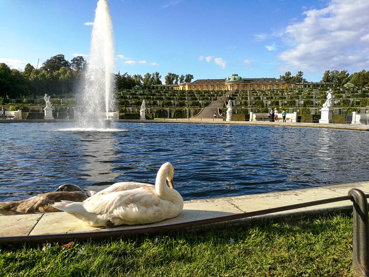 Schloss Sanssouci copyright AugustusTours Sophie Bergfeld