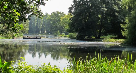 Hamburg to Dresden on the Elbe Cycle Path