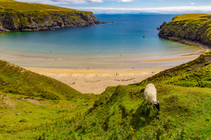 8-Day County Donegal Hiking Tour