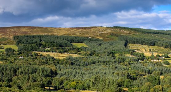 5-Day Self-Guided Wicklow Way Hiking Tour