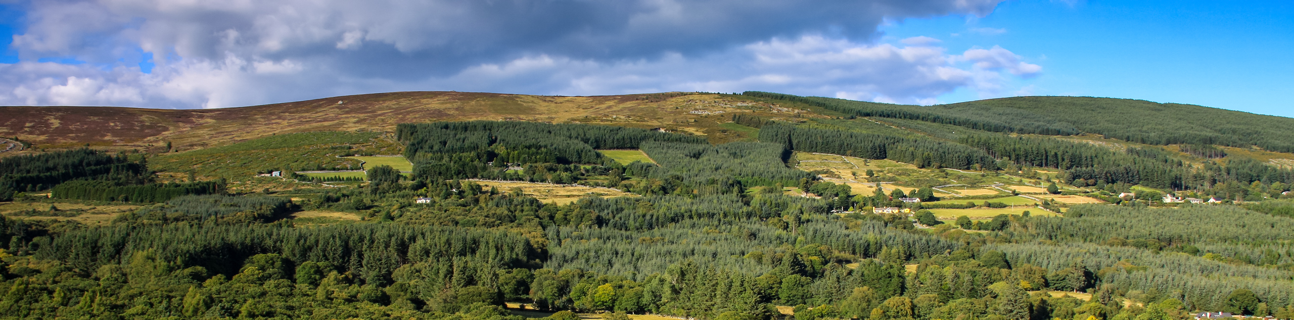 5-Day Self-Guided Wicklow Way Hiking Tour