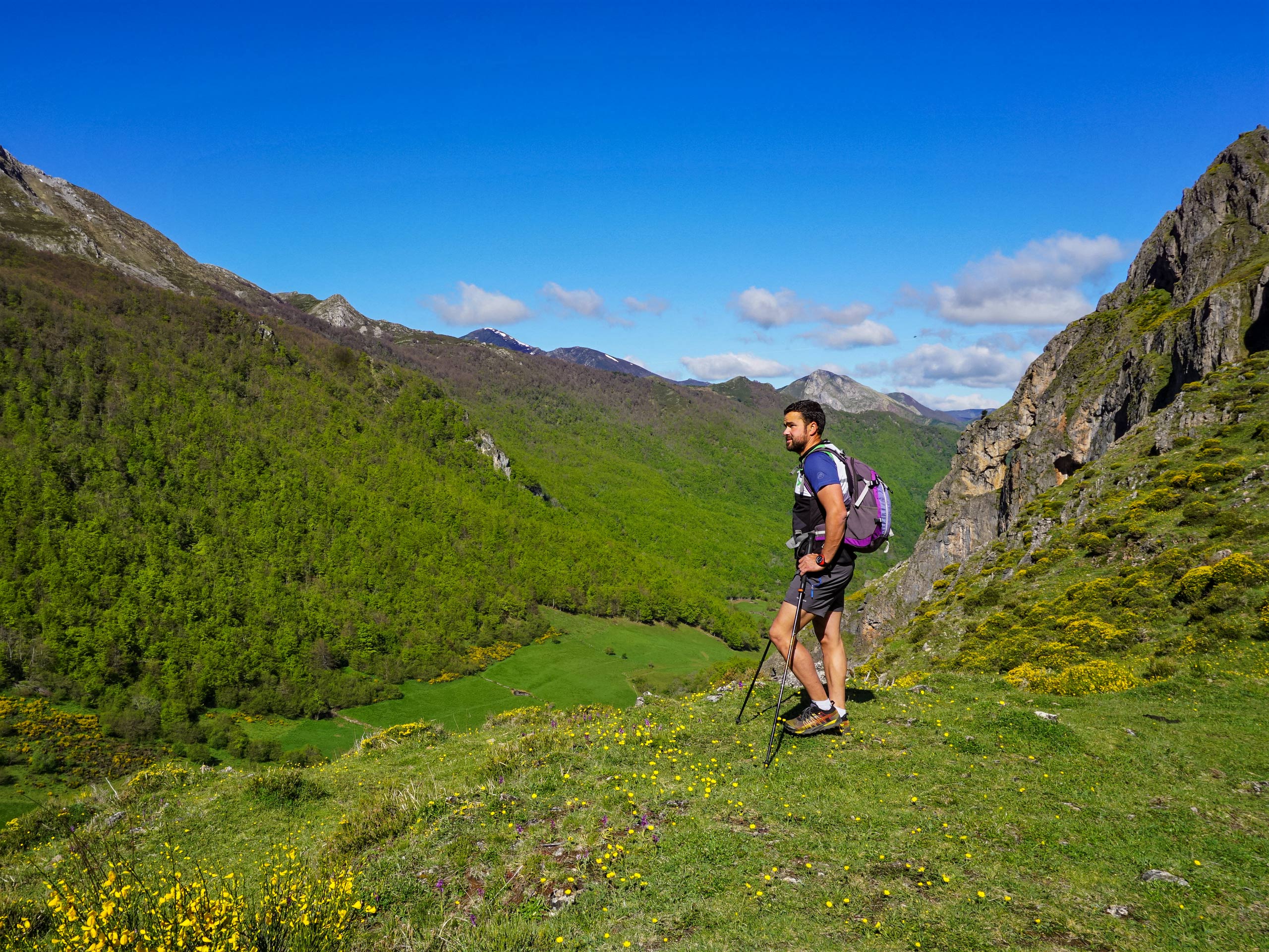 Green grass and wildflowers on plateau lookout hiking in Spain Asturias walking circular lagos