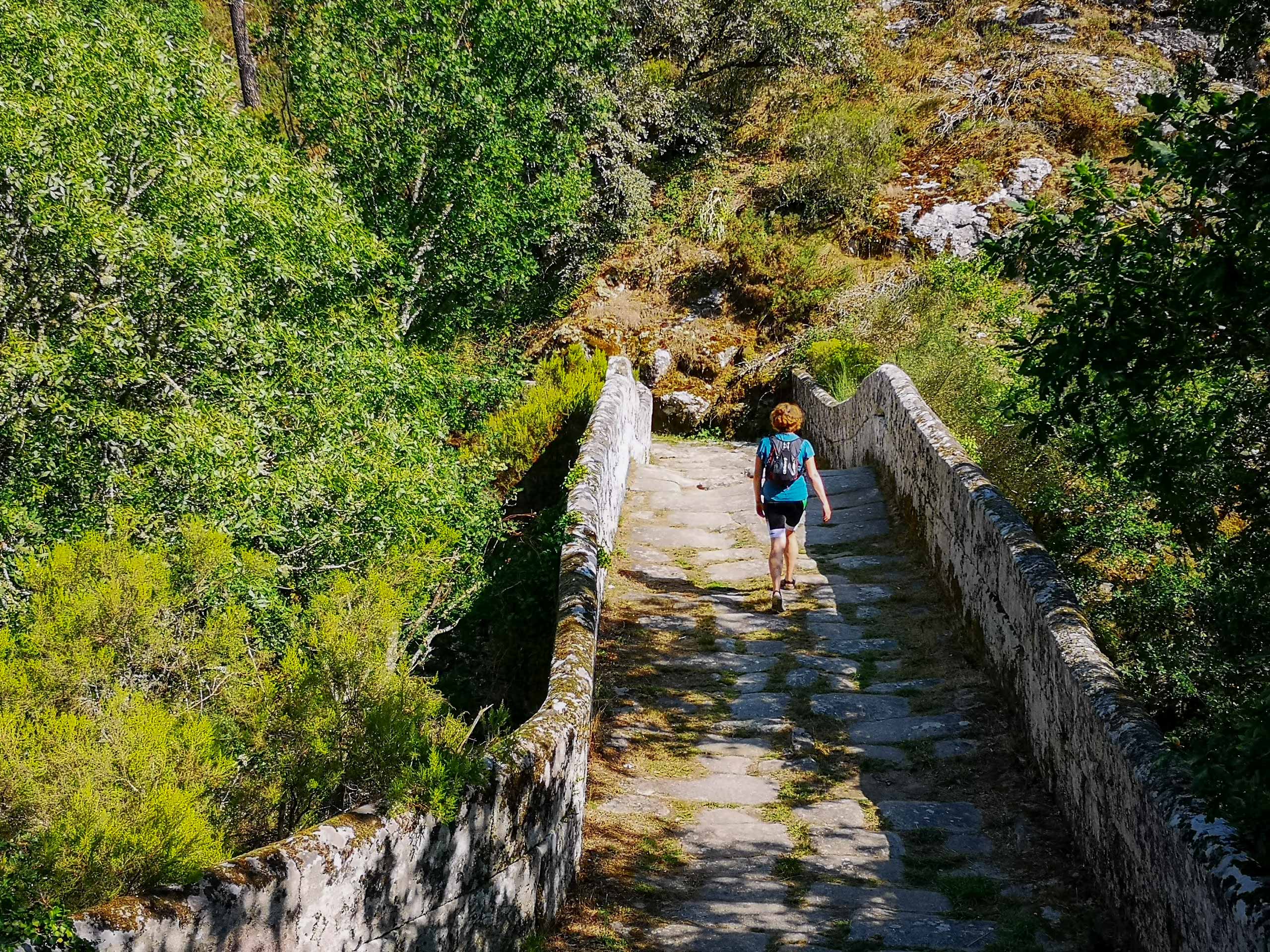 Crossing old stone bridge in the forest along hiking trail Camino Sanabres Spain