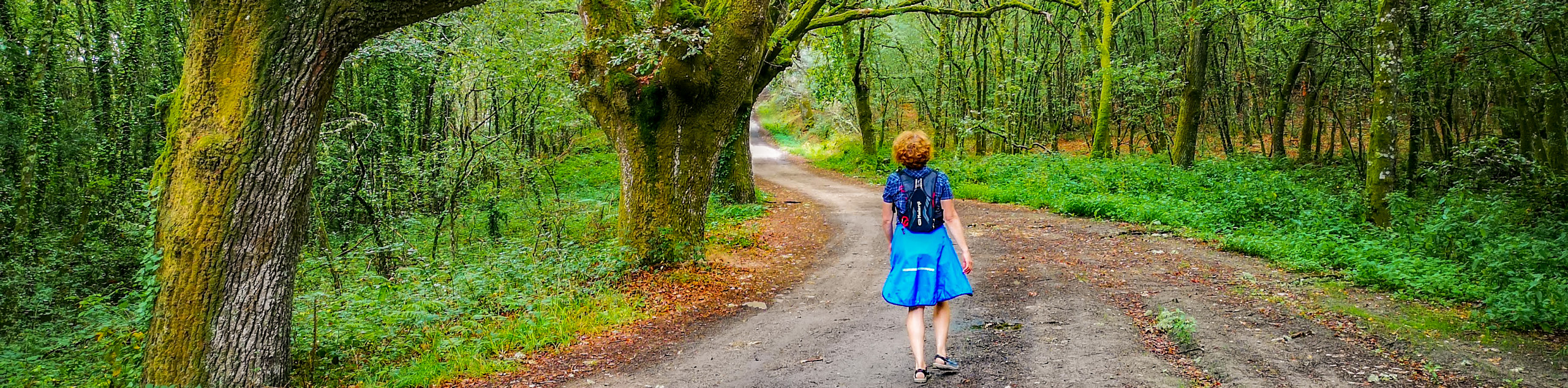 Camino Sanabrés to Santiago de Compostela