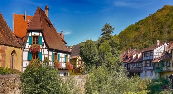 Alsace Wine Route by Bike