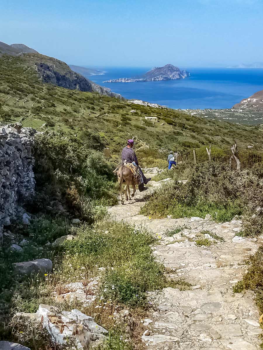 Mountain donkey rides hiking walking Amorgos Greece