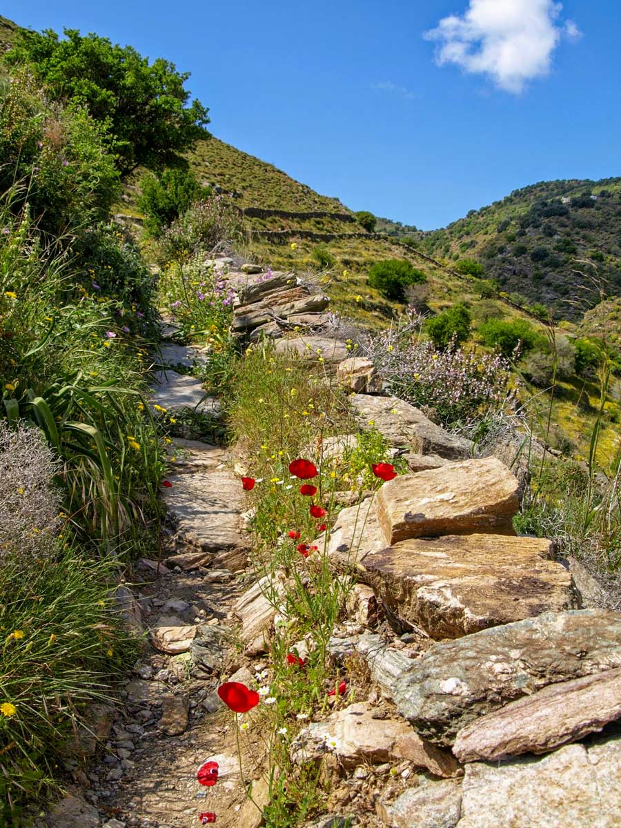 Beautiful moutain walking trails exploring Athens Kea Greece adventure tour