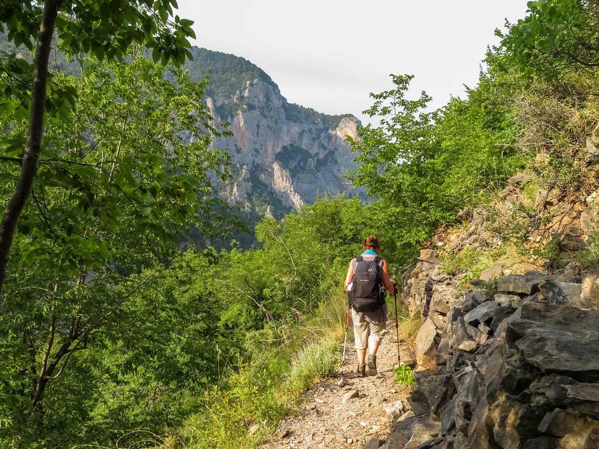 Forest mountain hiking Mount Olympos trekking adventure northern Greece