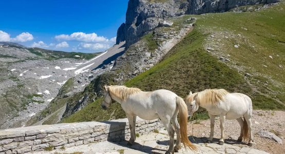 Astrakas horses stone lookout deck hiking Zagori Vikos Gorge Greece