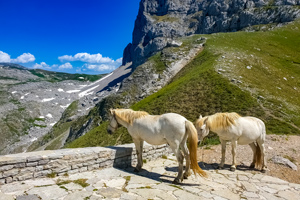 Vikos Gorge Hiking Tour