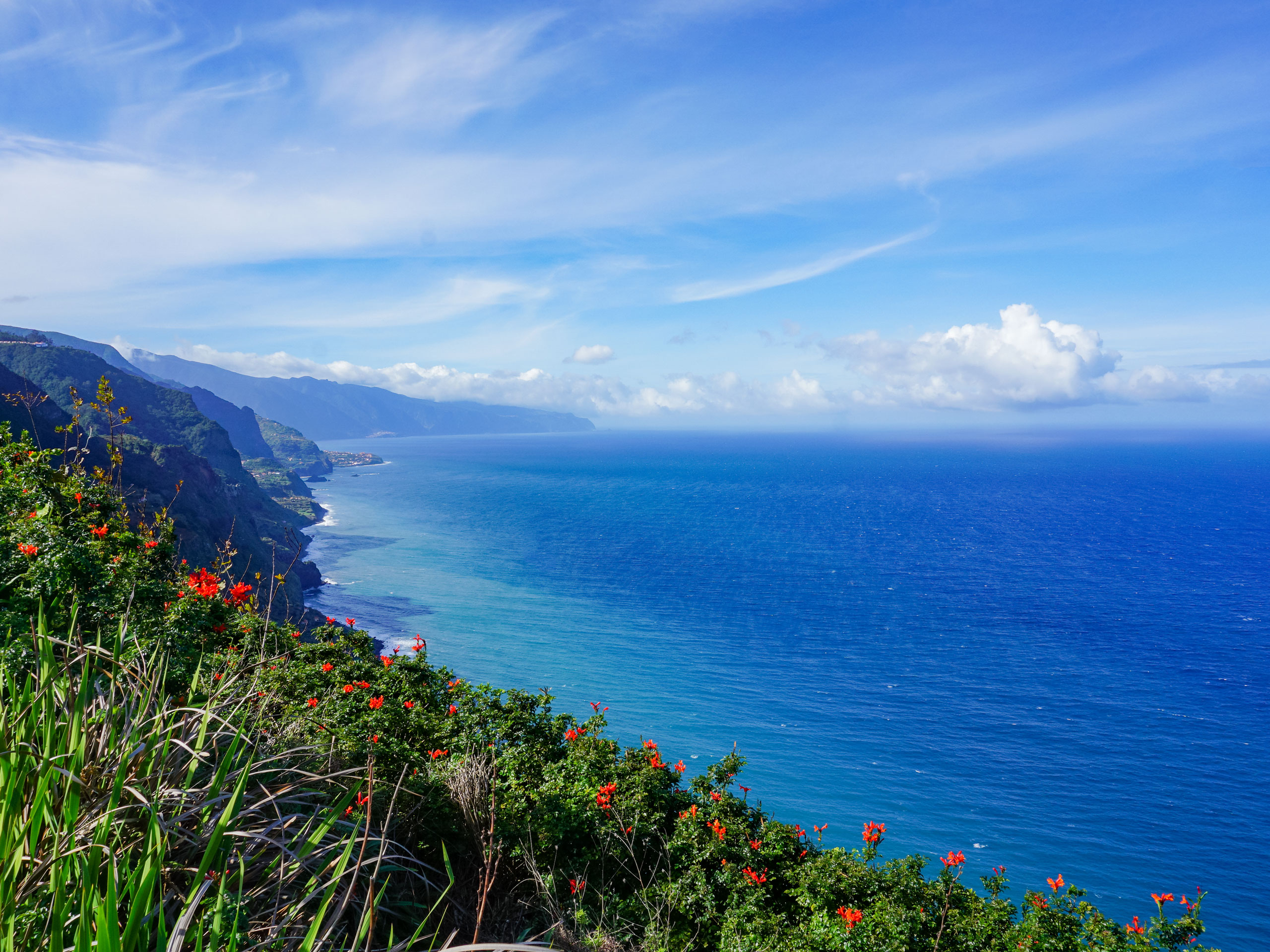 Hiking among wildflowers above the ocean view of cliffs in the distance Caminho real Maderira Spain
