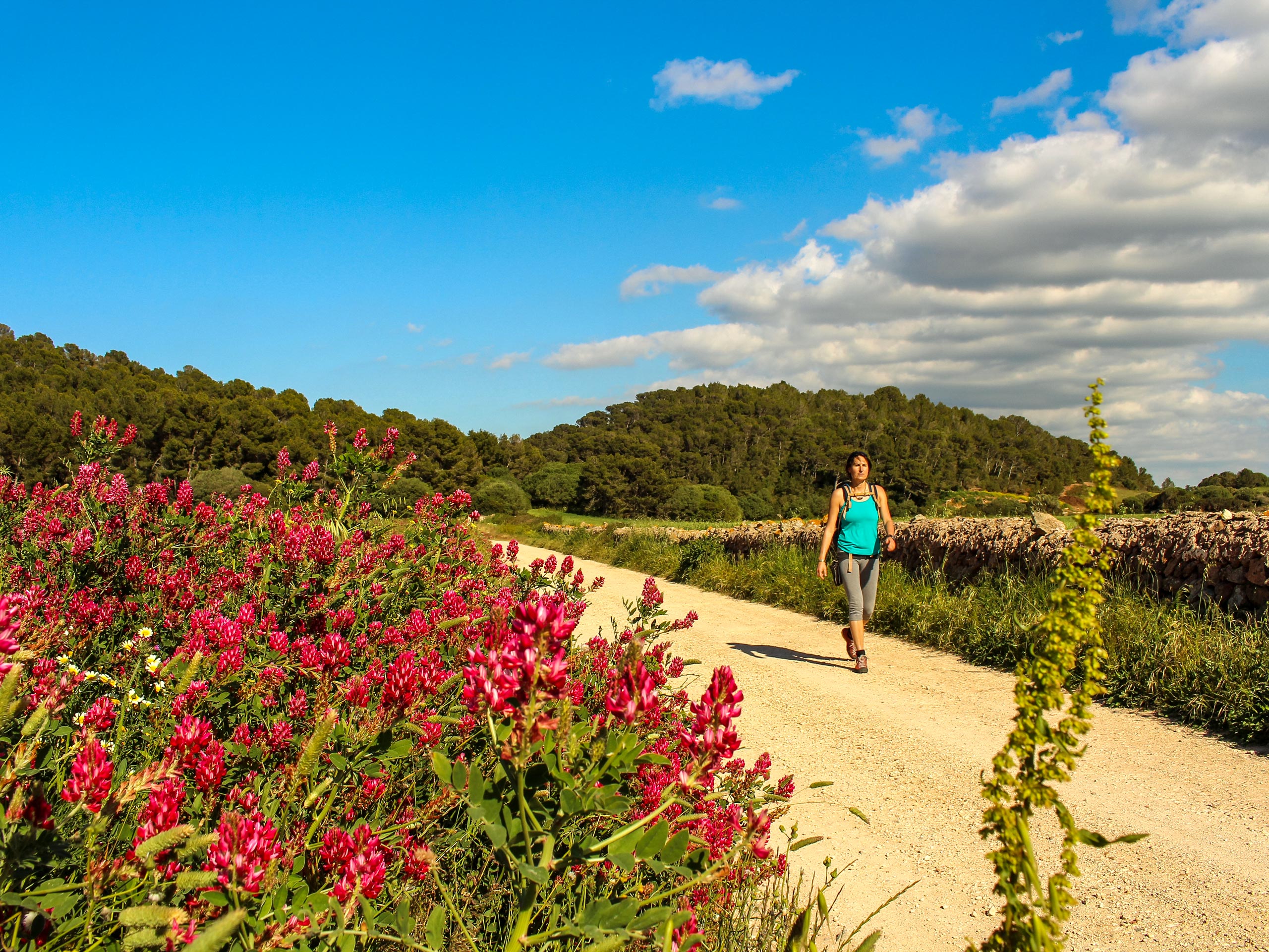 Hiker tourist walking down path lined with flowers walking tour Menorca Spain
