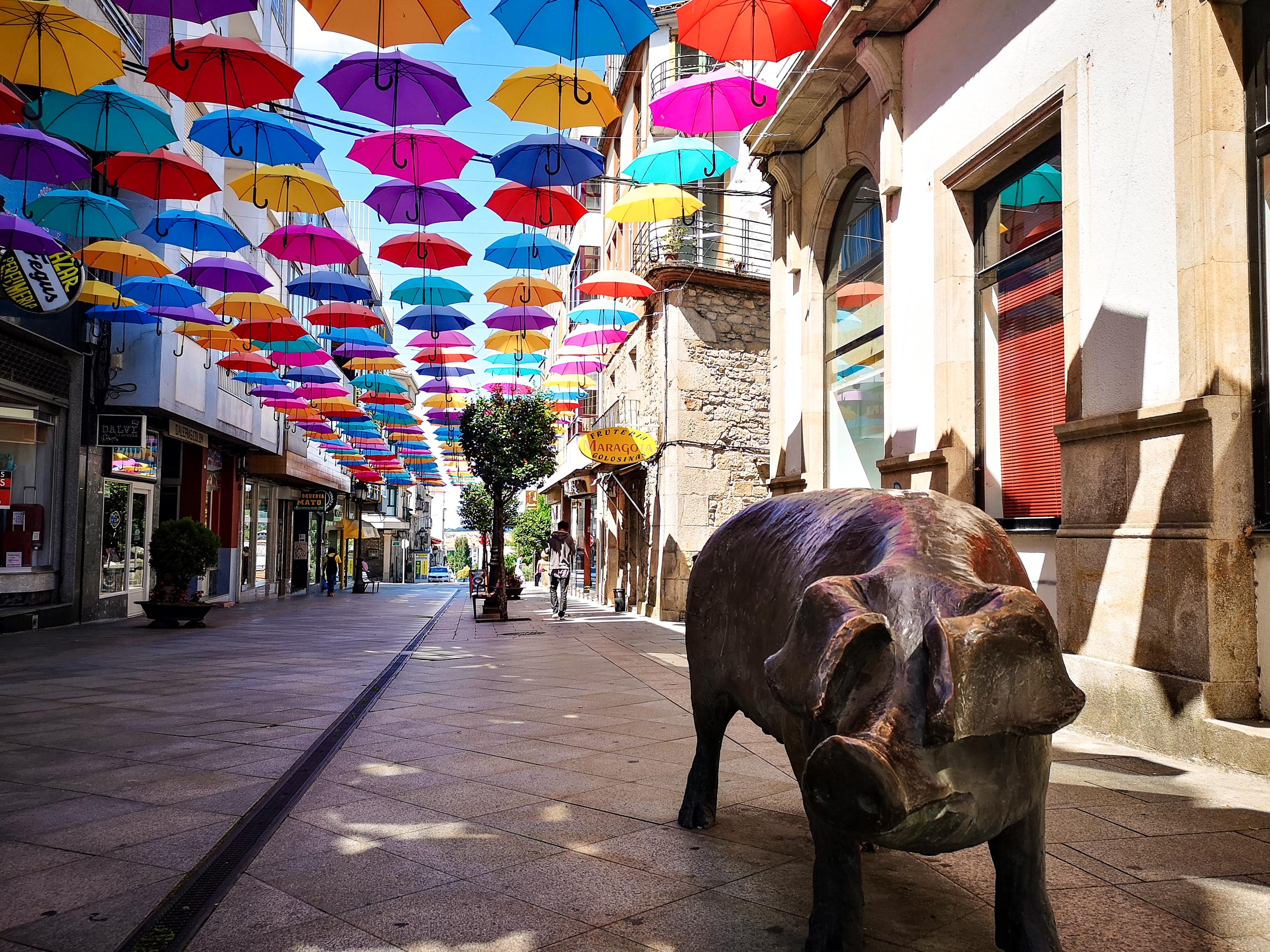 Pig statue on openair market street under coulourful unbrellas Camino Sanabres Spain