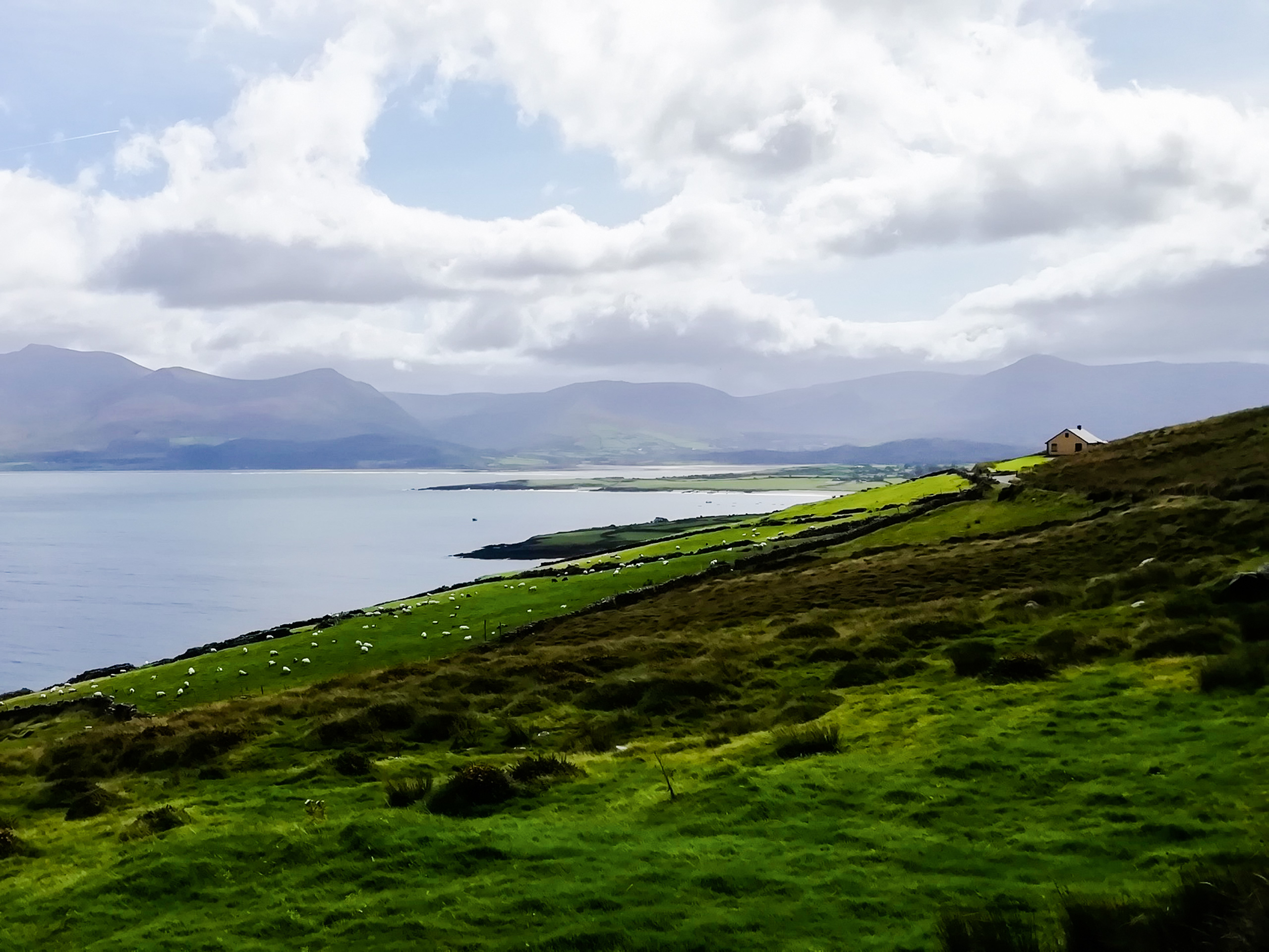 House on the hill Ireland