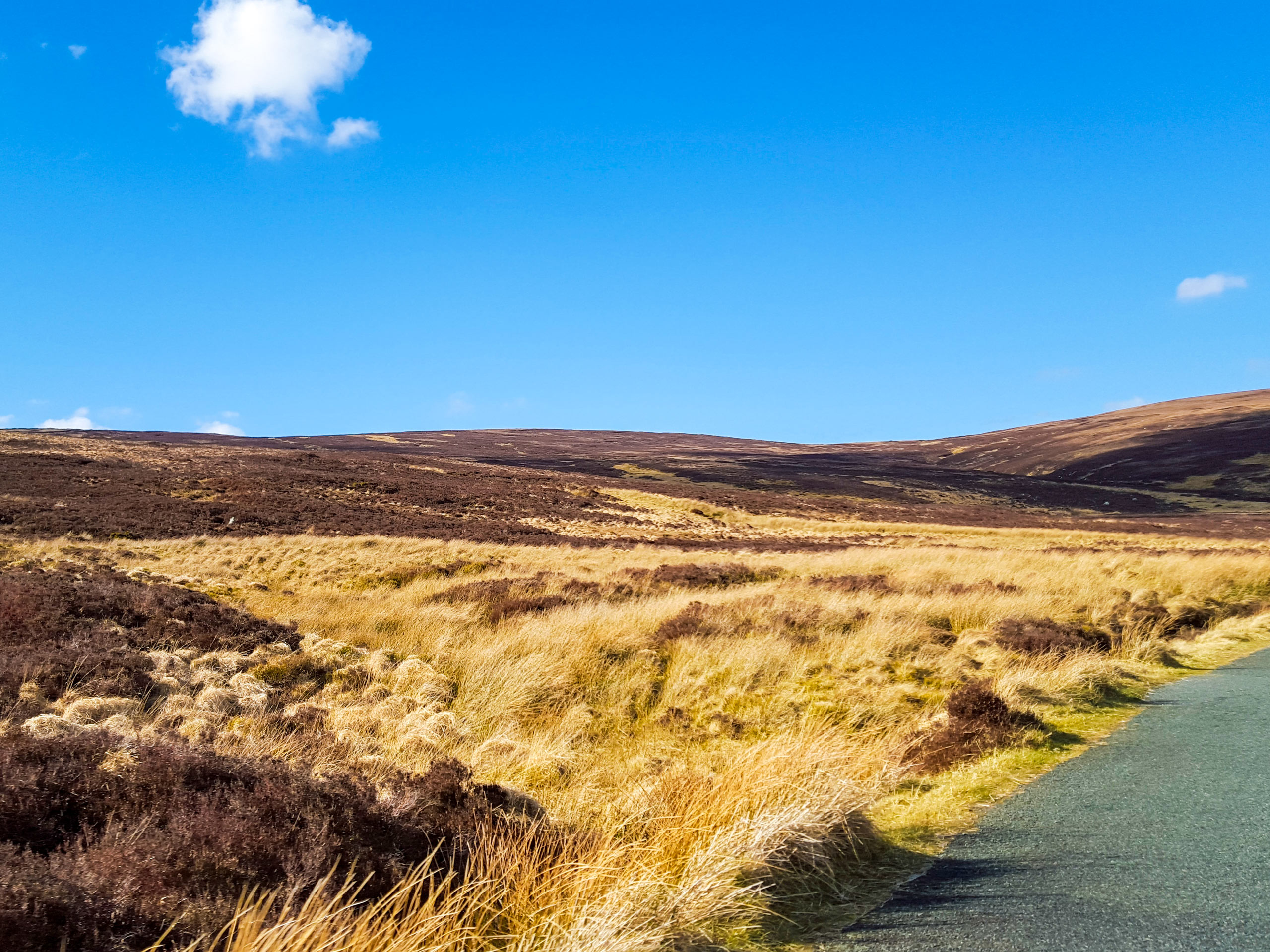 Field landscape in Ireland