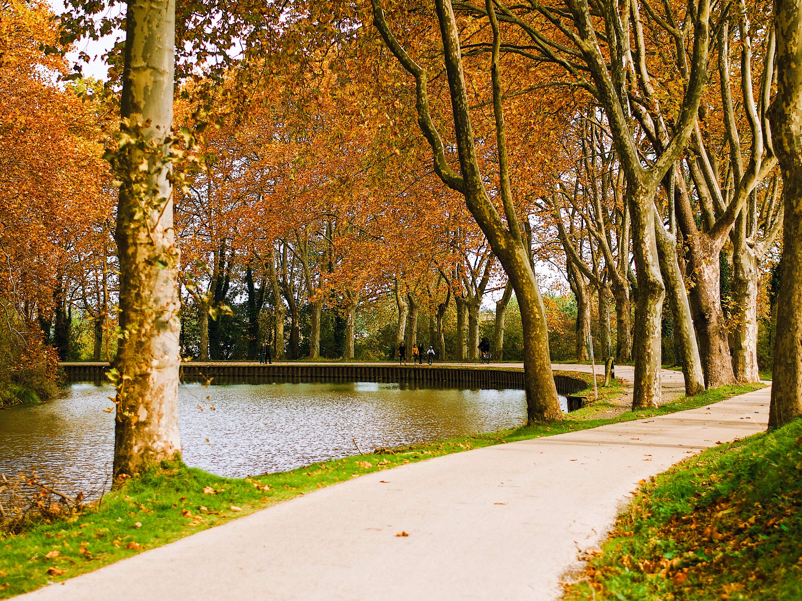 France Canal du Midi autumn park