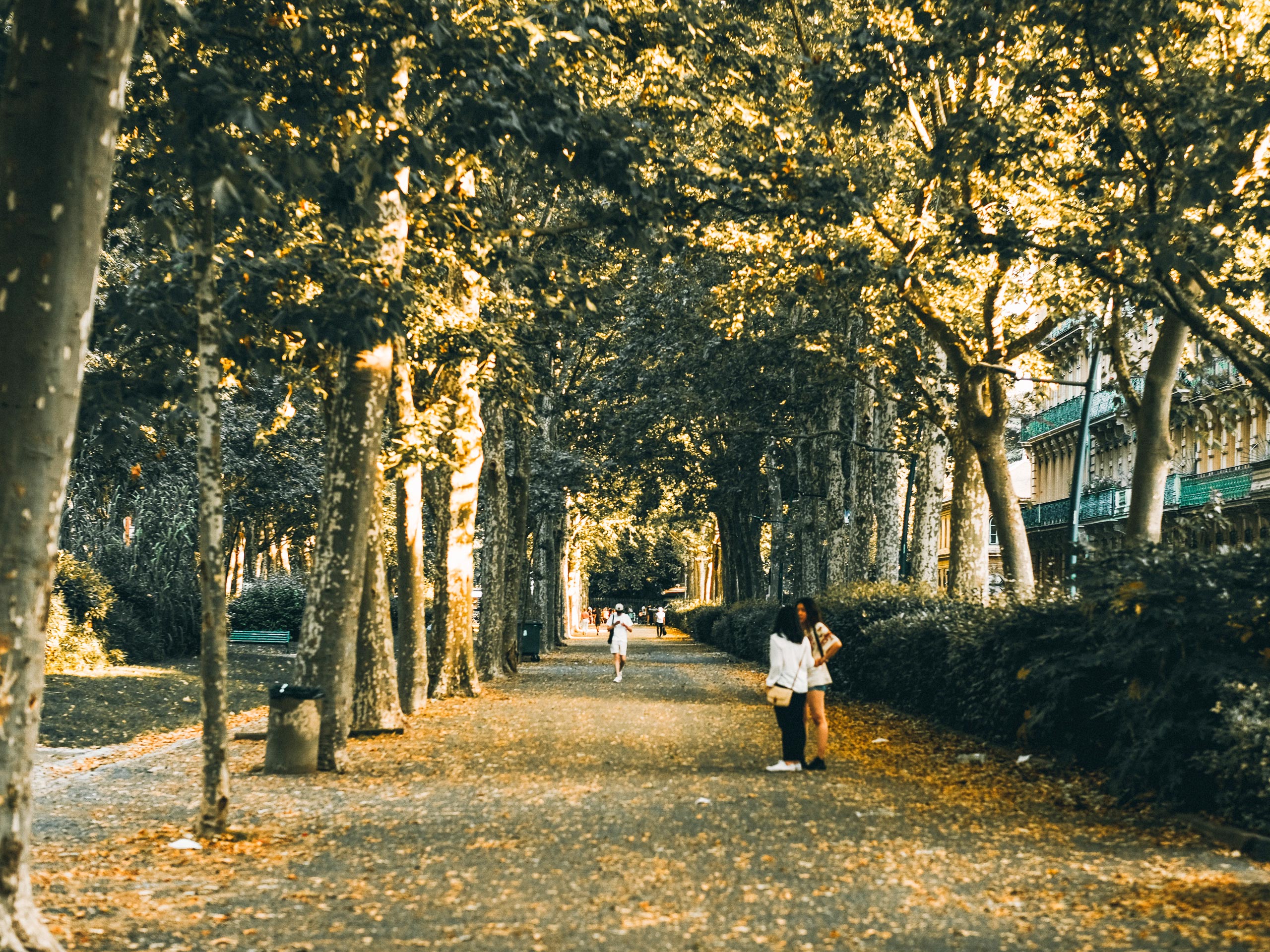 Toulouse beautiful park