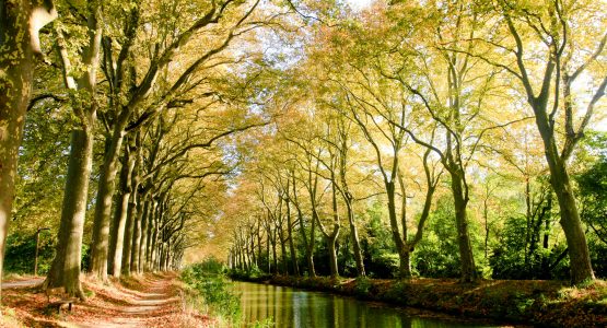 Canal de Garonne by Bike: Bordeaux to Toulouse