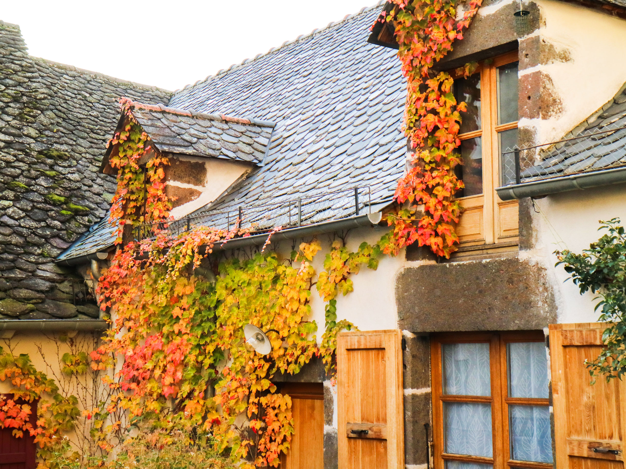 Beautiful house with grapevine