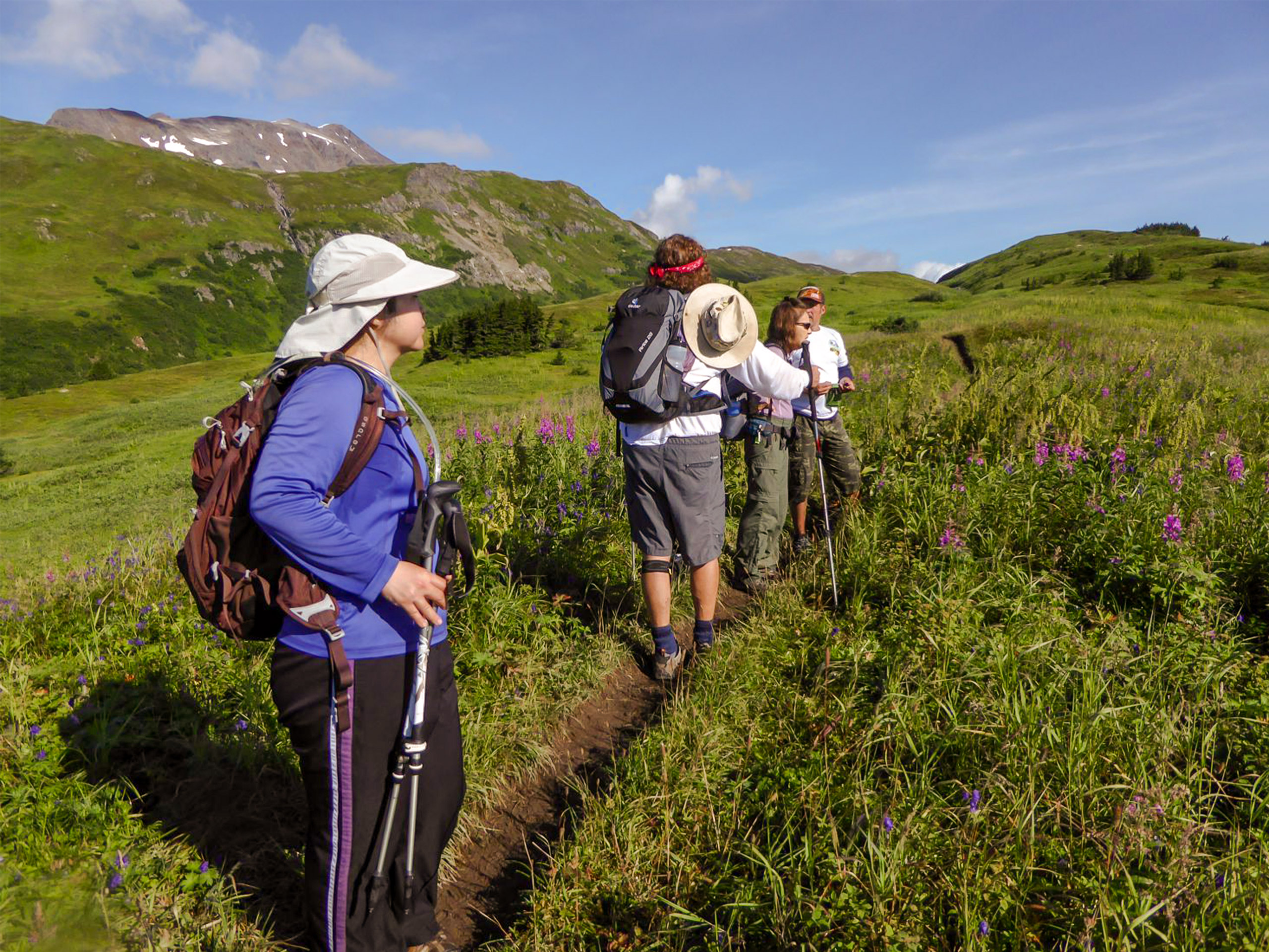 Group of tourists on hike