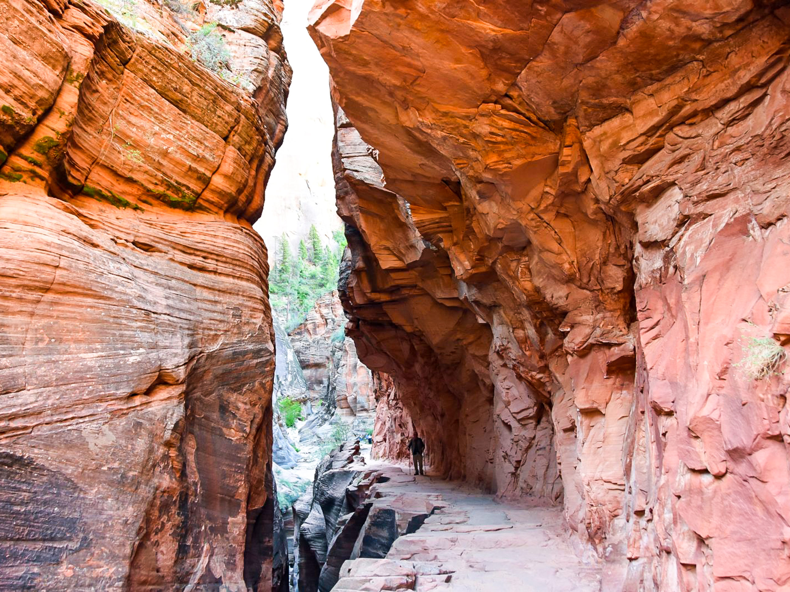6-Day Guided Hiking Tour of the Grand Canyon and Zion
