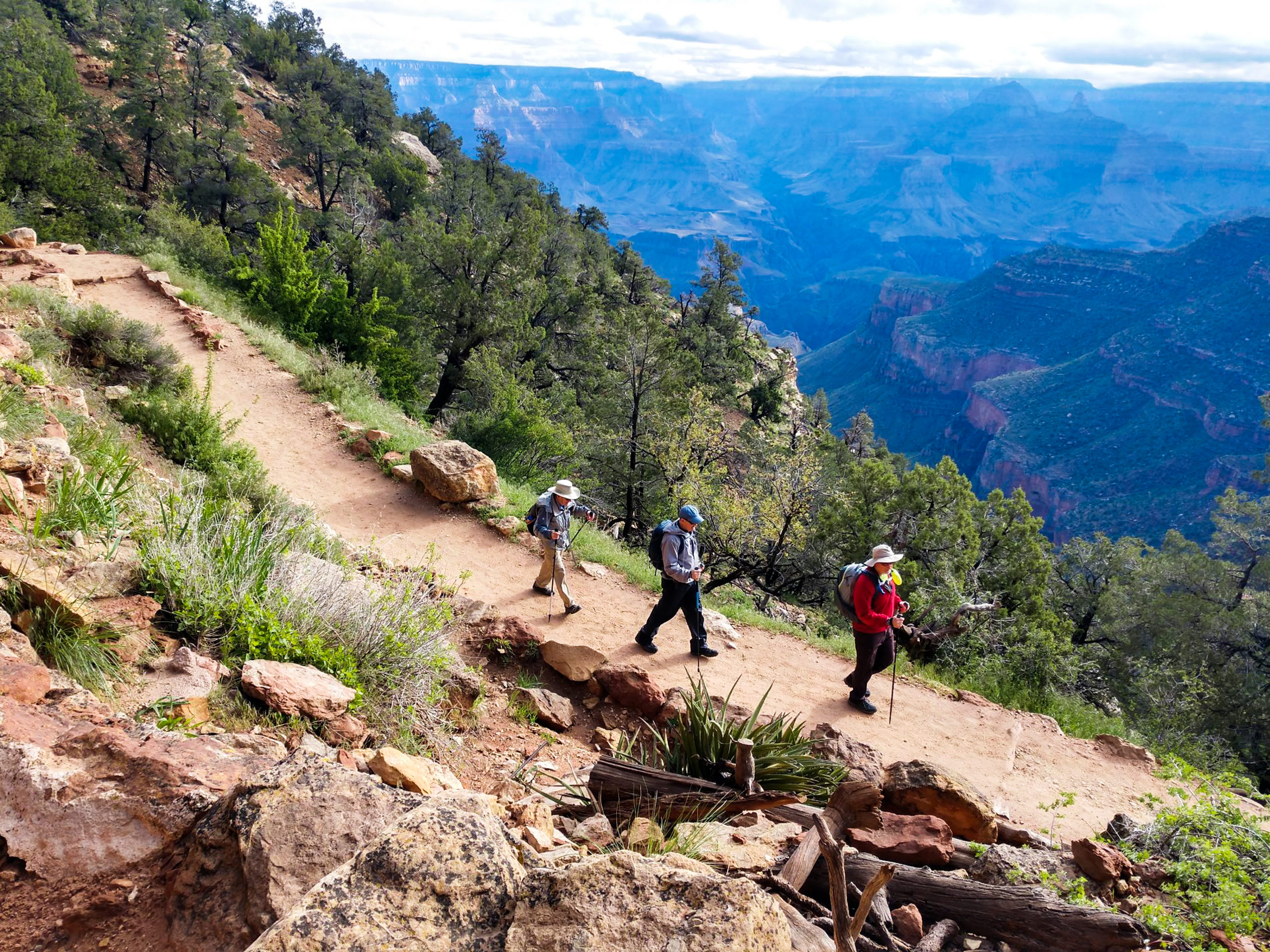 grand canyon trekking tours