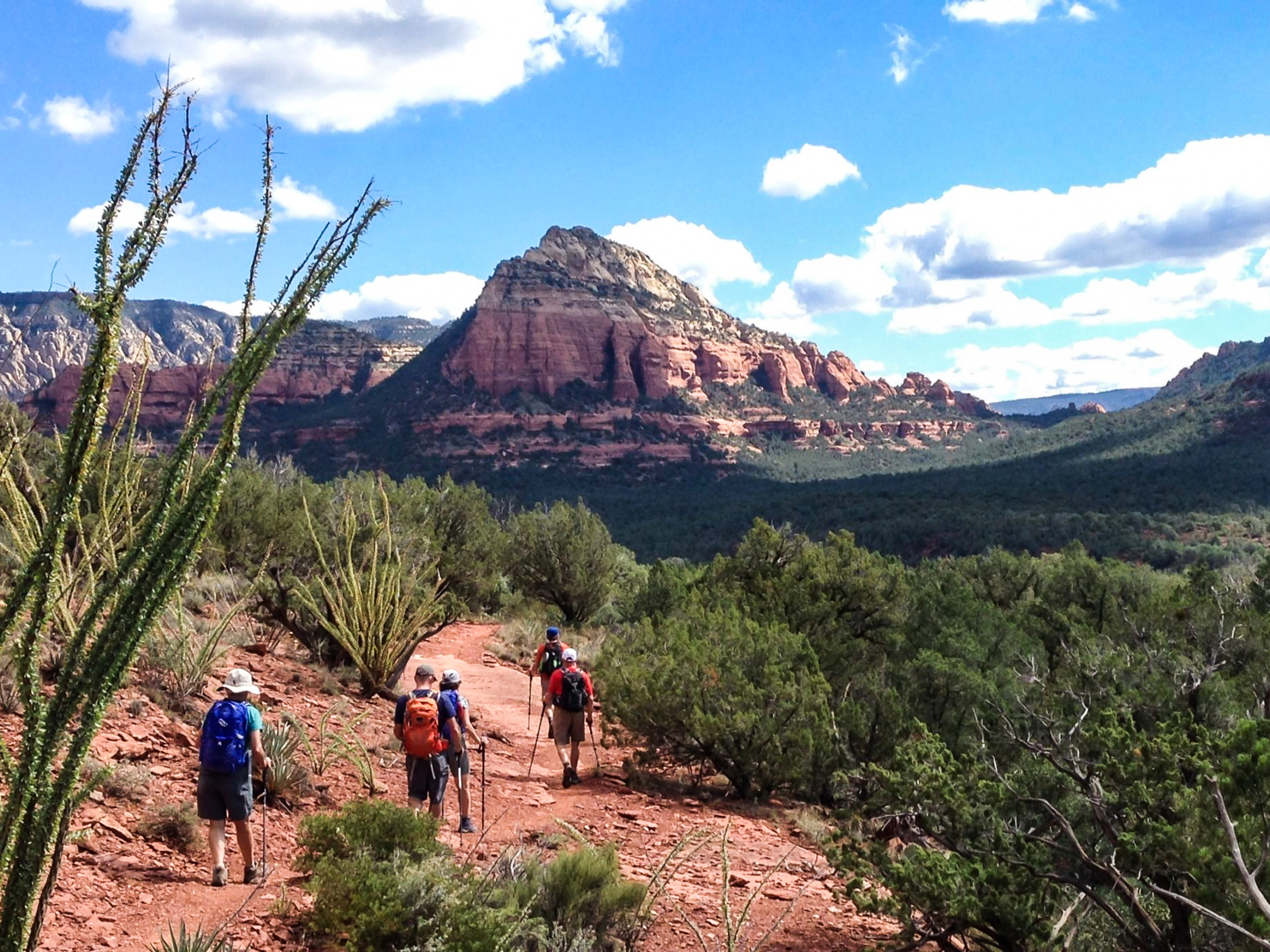 Grand Canyon mountain top