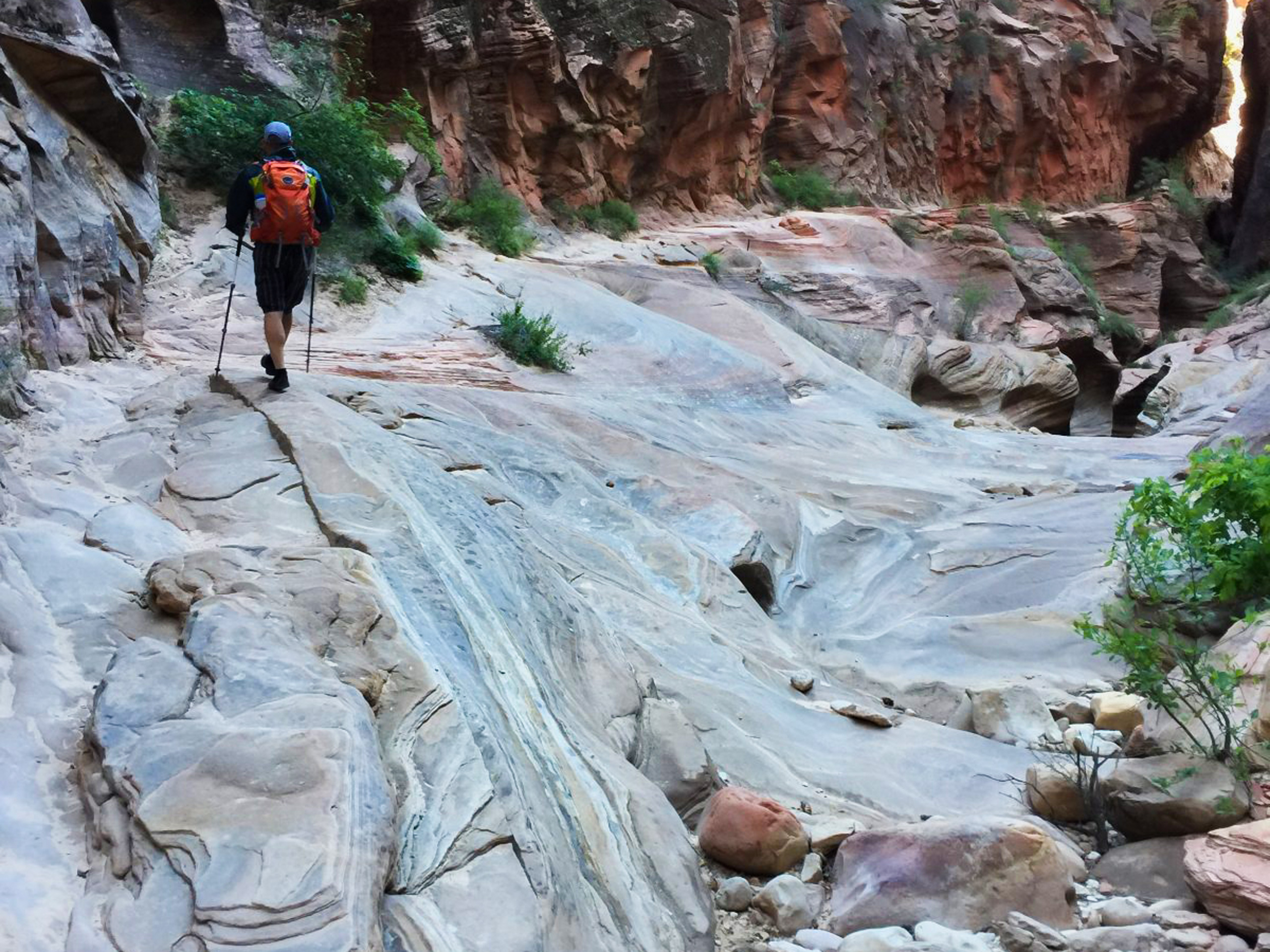 Zion National Park hiking path