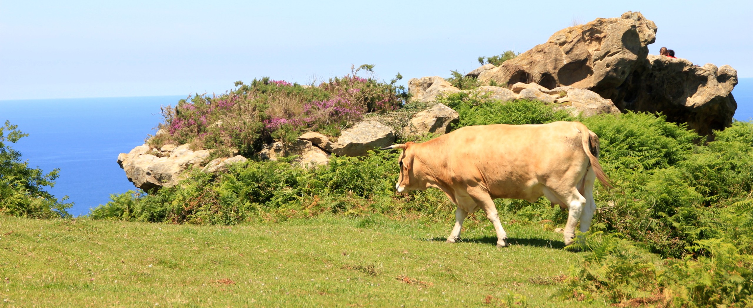 Basque Coast Walking Tour