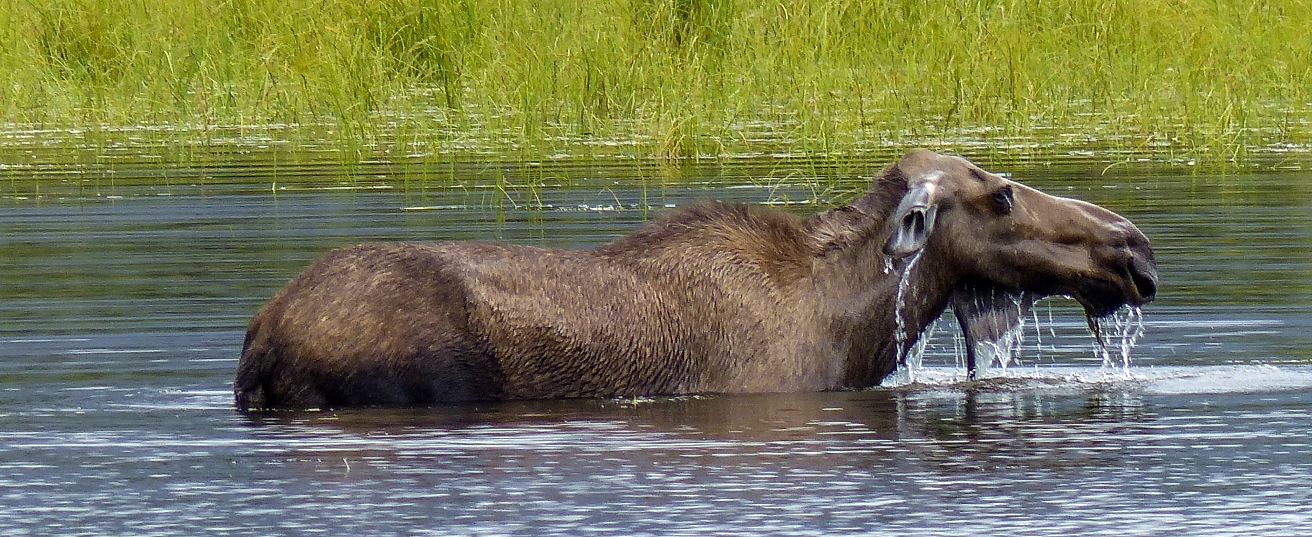 Alaska’s Last Frontier Hiking Tour