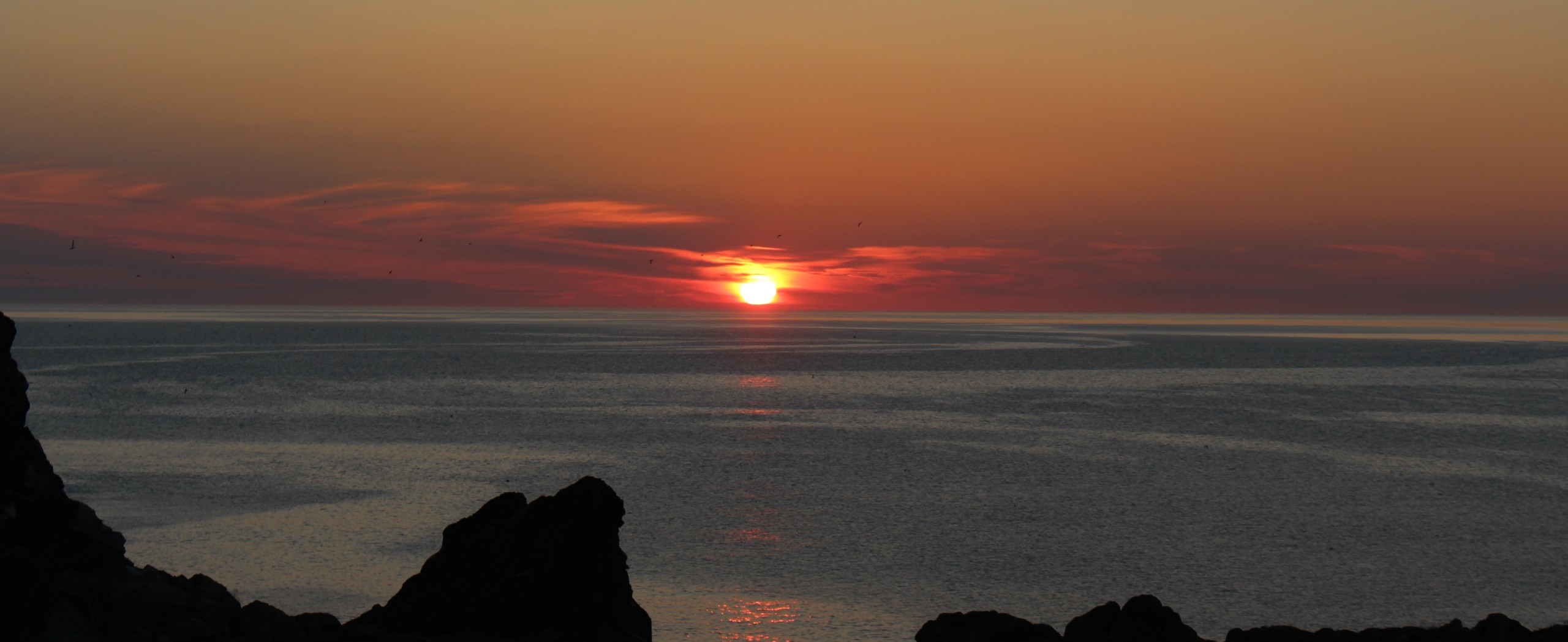 Newfoundland’s North Coast Self-Drive Tour