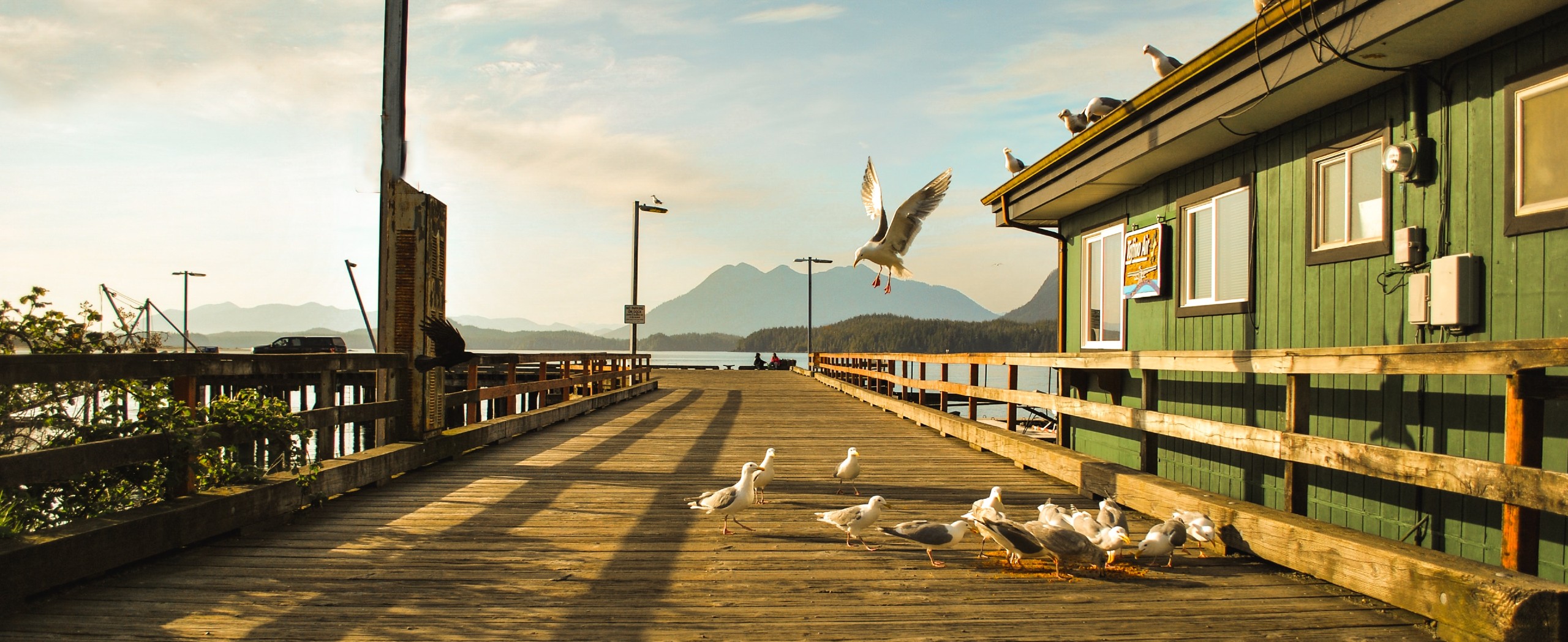 Vancouver Island Wildlife Self-Drive Tour