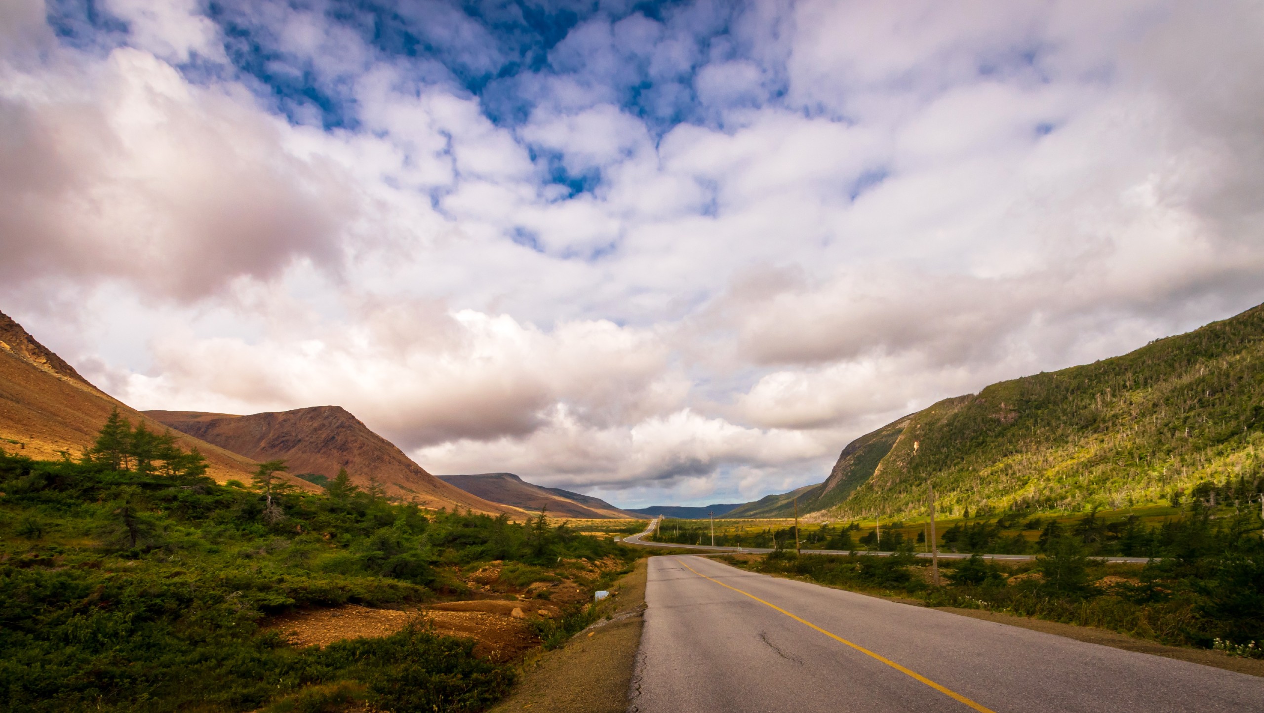 Newfoundland’s North Coast Self-Drive Tour