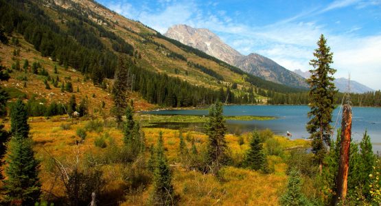 Yellowstone, Tetons, Glacier Self-Drive Tour