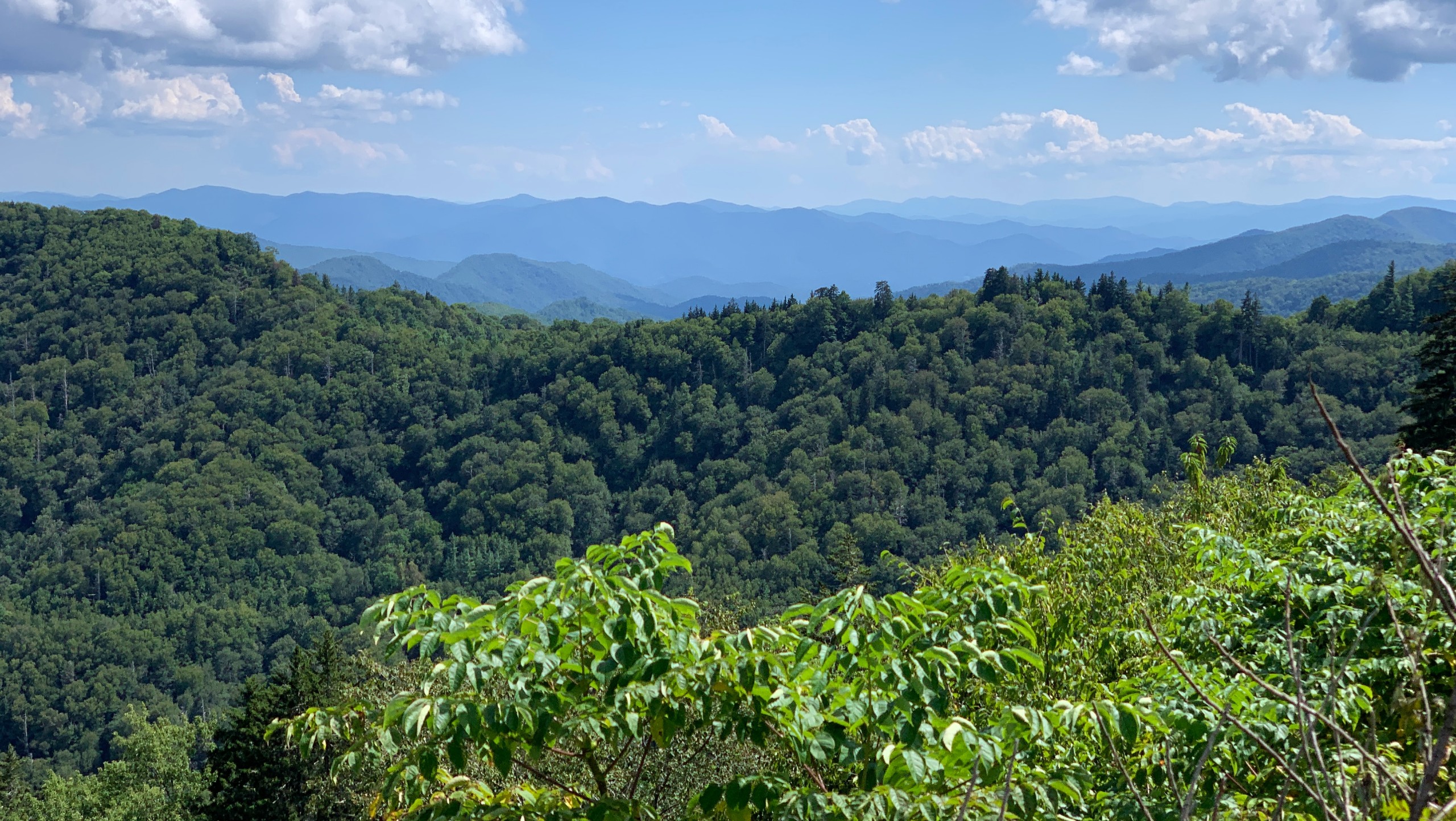 Hiking in the Great Smoky Mountains