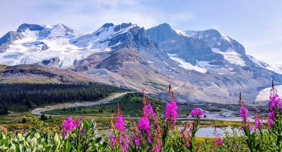 Athabasca Glacier