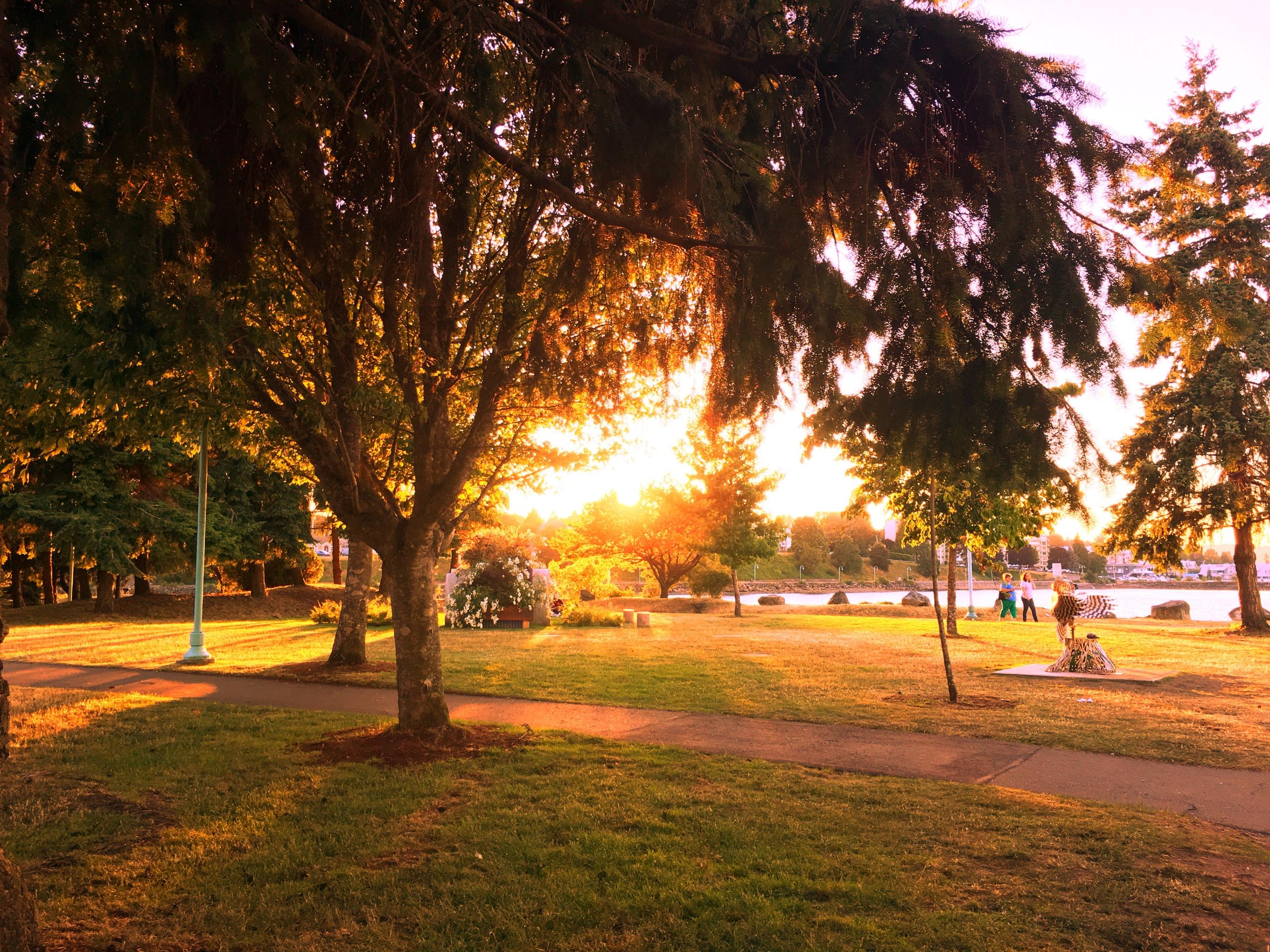 Beautiful park in Vancouver Island