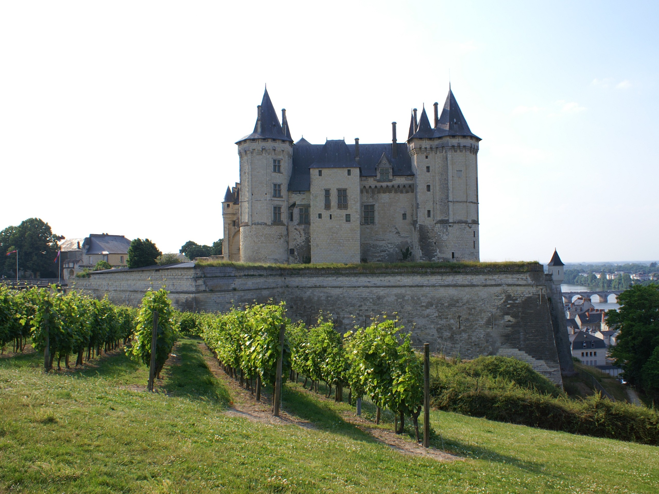 Castle in Saumur