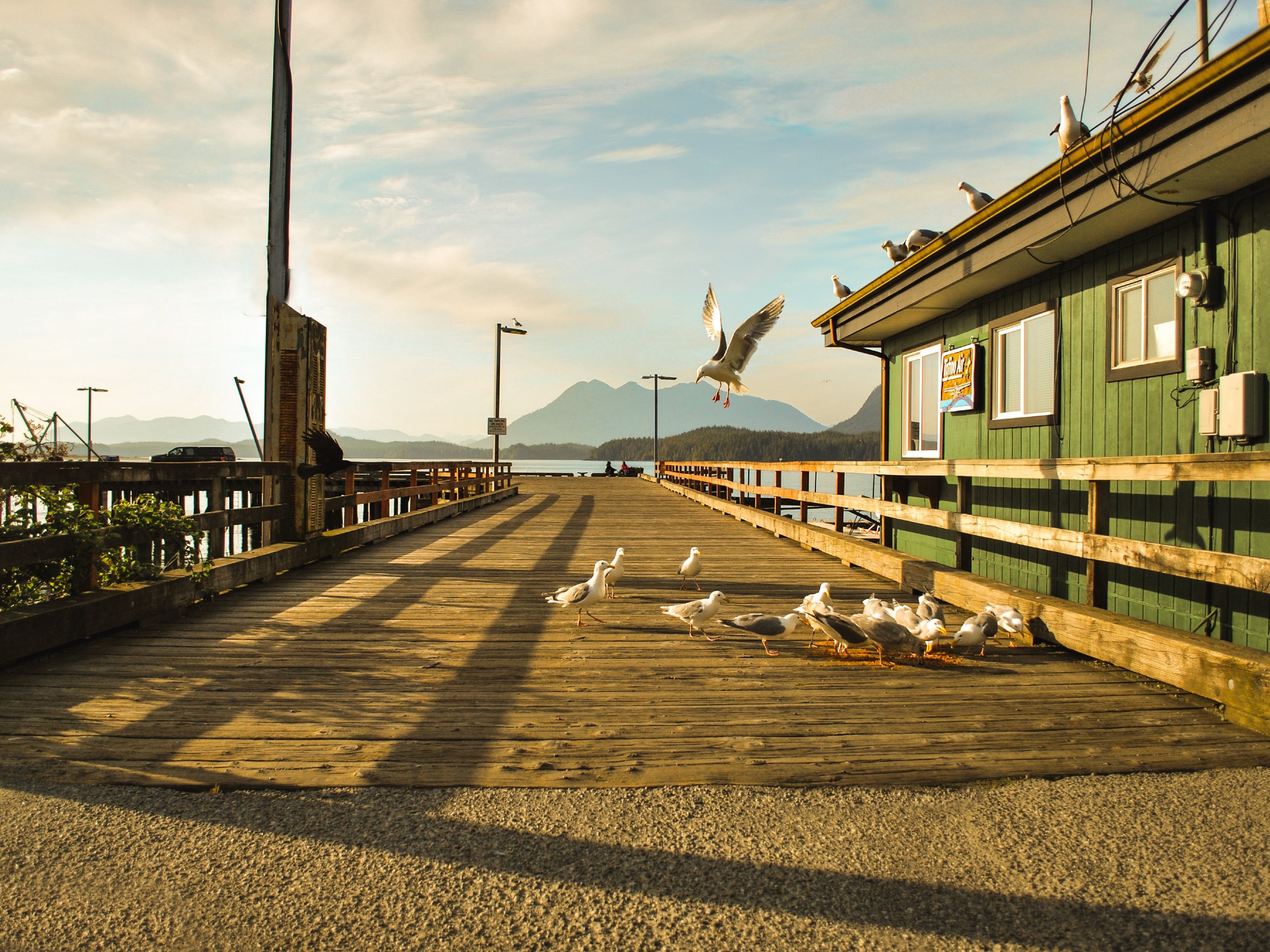 Pier at Tofino